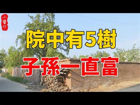 仙桃樹風水|【仙桃樹風水】仙桃樹風水大揭秘！院子種桃樹竟有驚人影響